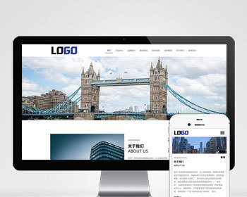 （自适应手机端）骨架油封网站模板 机械密封件网站源码下载