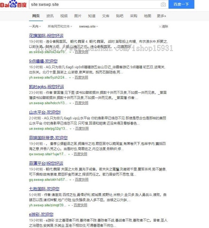 飞鸟泛解析泛目录站群系统源码 SEO系统搜索引擎源码