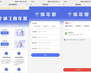 新企业年审企业工商年报大师工商登记注册企业注销登记企业异常处理程序年报代报H5程序
