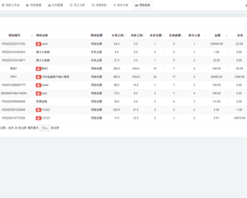 人员任务协作项目进度管理工时绩效统计项目任务报表PC网站管理系统