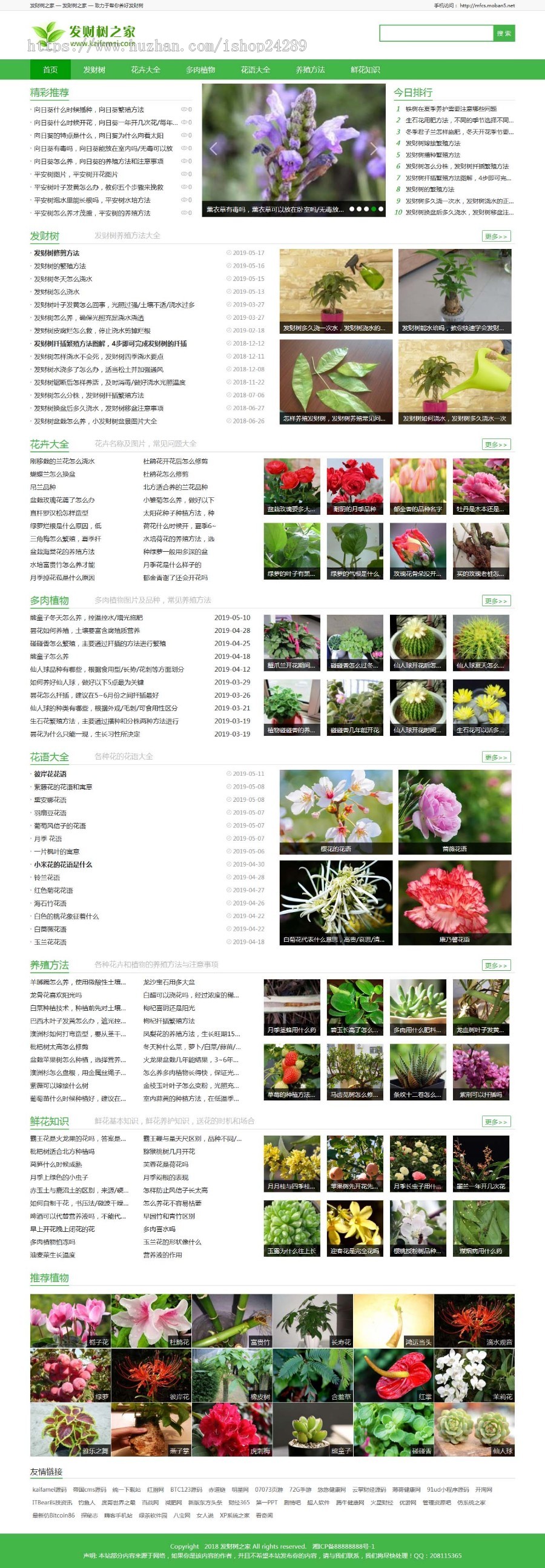 仿《发财树之家》热门植物知识站模板 帝国cms7.5内核 同步生成 带手机站