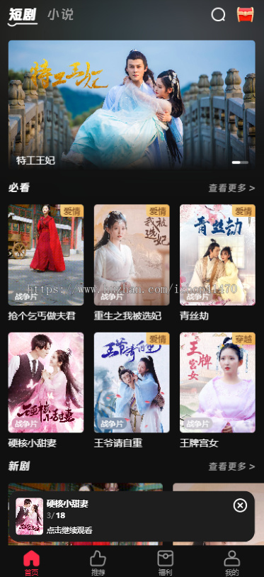 海外短剧旗舰版源码+CPS分销系统 海外支付 google facebook快捷登录