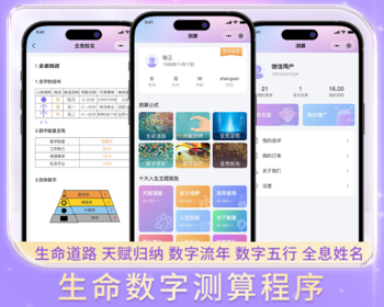 生命数字心理学测算工具 生命道路/天赋/五行/姓名全息解析 十大人生主题测算