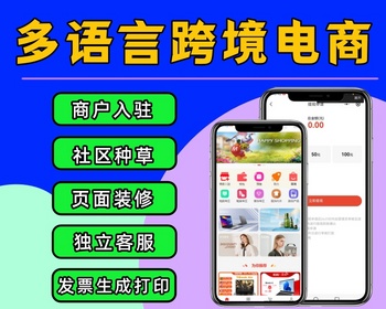 多语言跨境电商系统 多语言外贸商城源码 支持商家入驻页面装修 独立客服