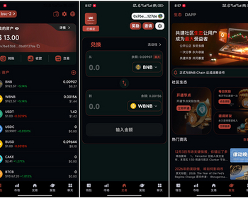 区块链钱包+闪兑+市场+聊天+会议