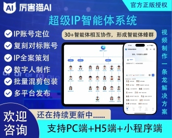 IP智能体源码 OEM贴牌