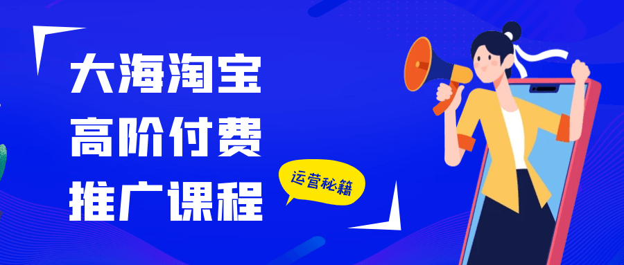 大海淘宝高阶付费推广课程